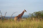 safrica03_image15.jpg